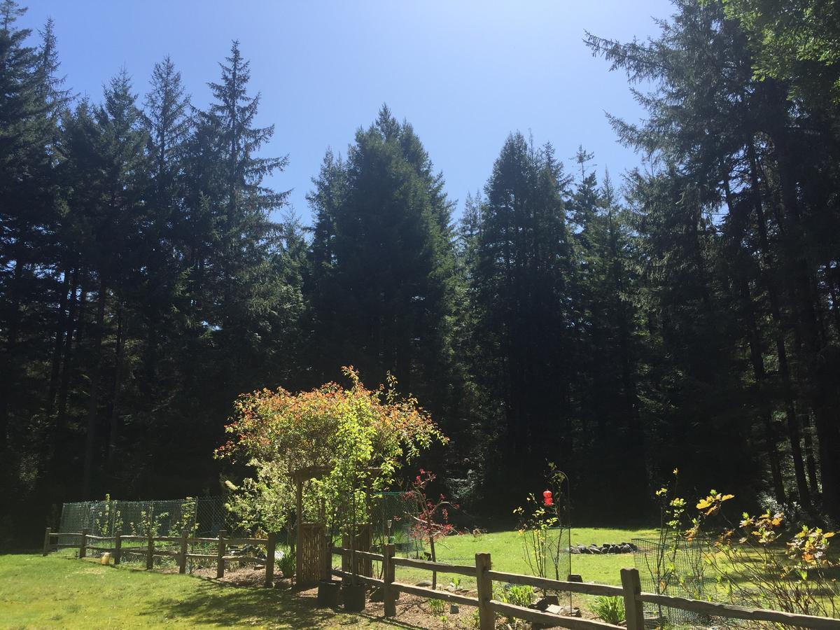 Redwood Forest Кресент-Сити Экстерьер фото
